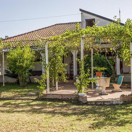 Villa Oidor - Cilento Ascea Extérieur photo